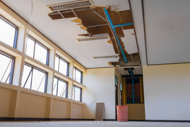 Best Basement water damage restoration  in West Mountain, UT