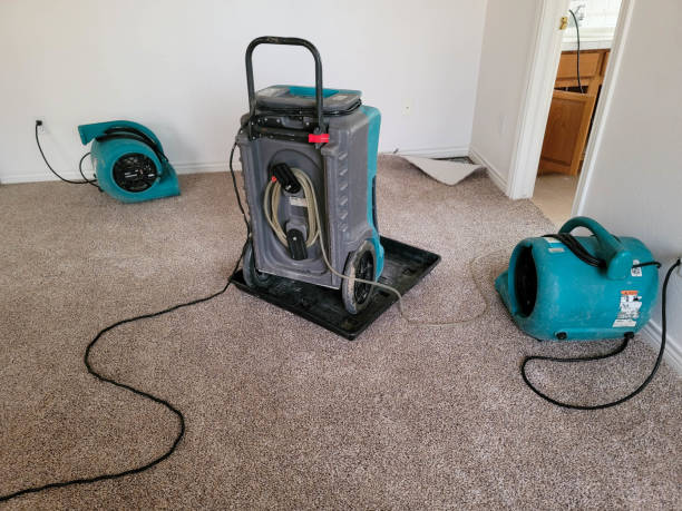 Water damage restoration mold remediation in UT