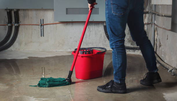 Best Water damage restoration mold remediation  in West Mountain, UT