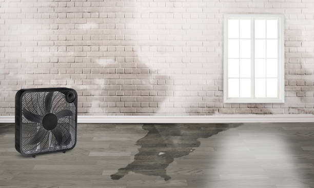 Sewage cleanup and water damage restoration in UT