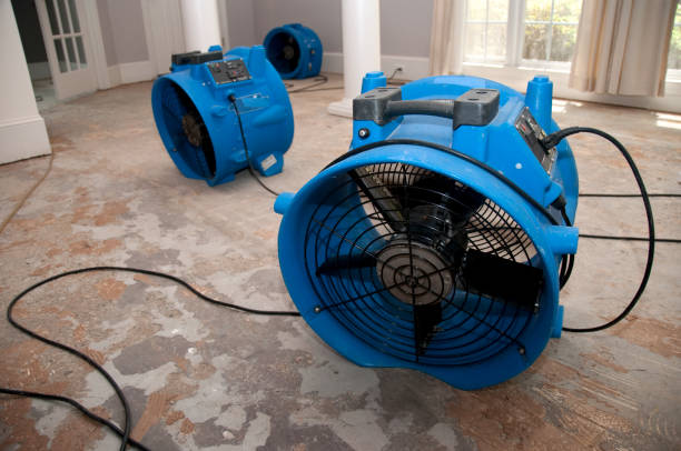Best Water damage cleanup near me  in West Mountain, UT