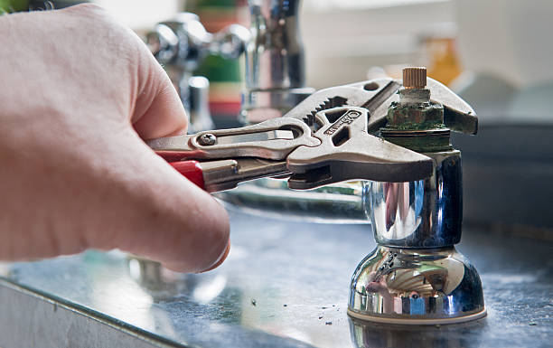 Best Local water damage restoration  in West Mountain, UT