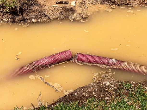 Best Professional water damage repair  in West Mountain, UT