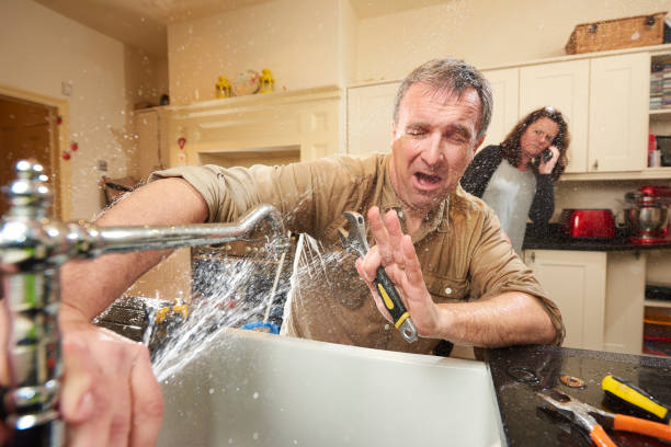 Best Water damage restoration cost  in West Mountain, UT